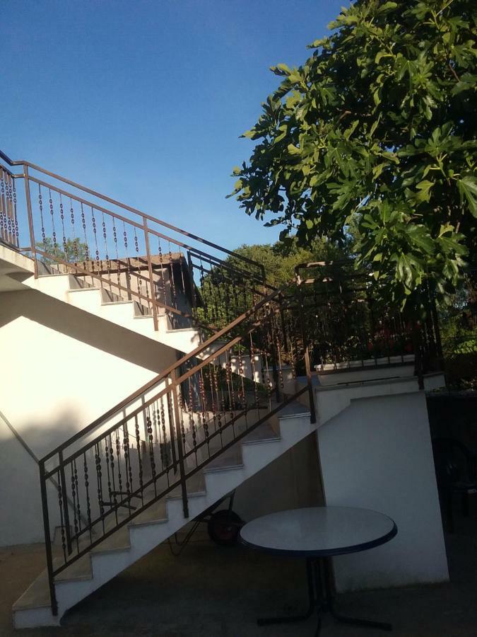 Apartamento Milda+M Skradin Exterior foto